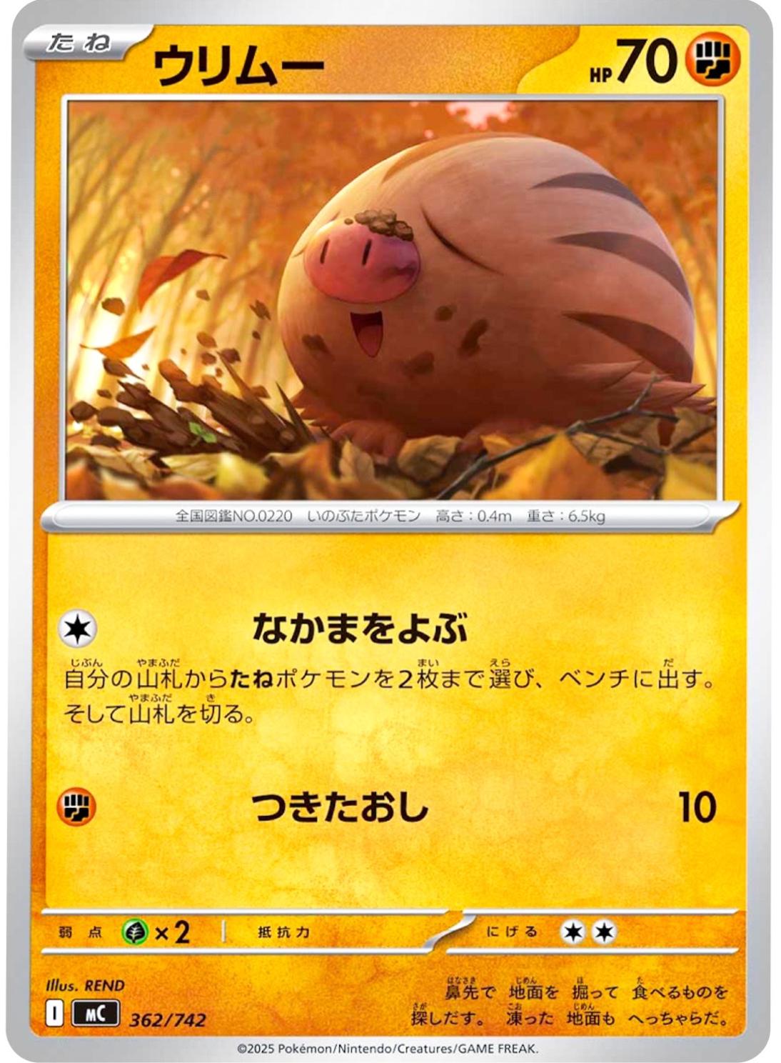 Swinub